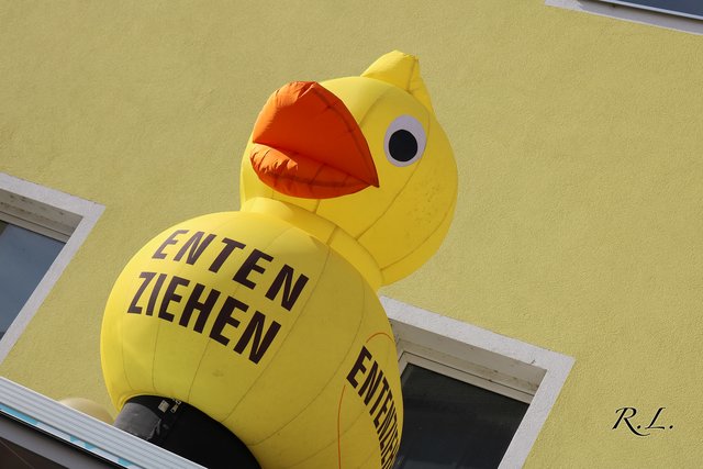Foto: Lederer