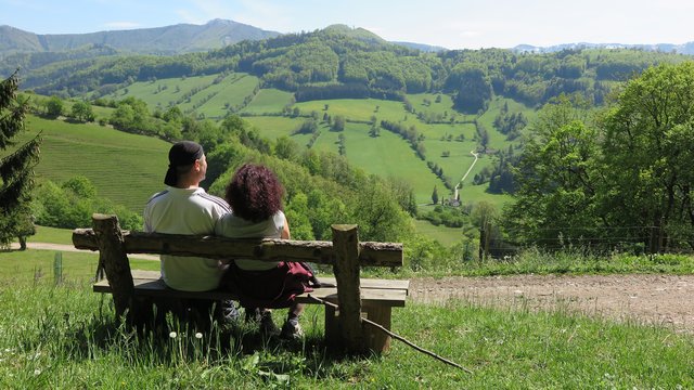 Das Pielachtal im überblick (Geißbühel)
