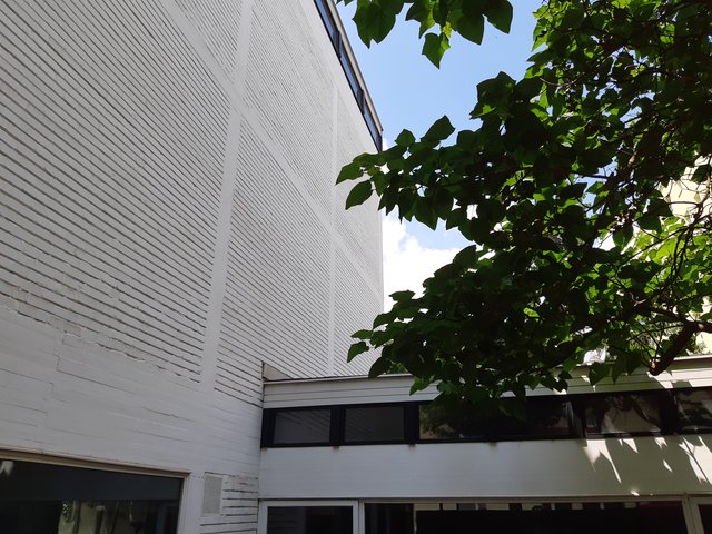 Architekt Roland Rainer war es besonders wichtig, dass ein Laubbaum den Innenhof begrünt. | Foto: Christian Buchar