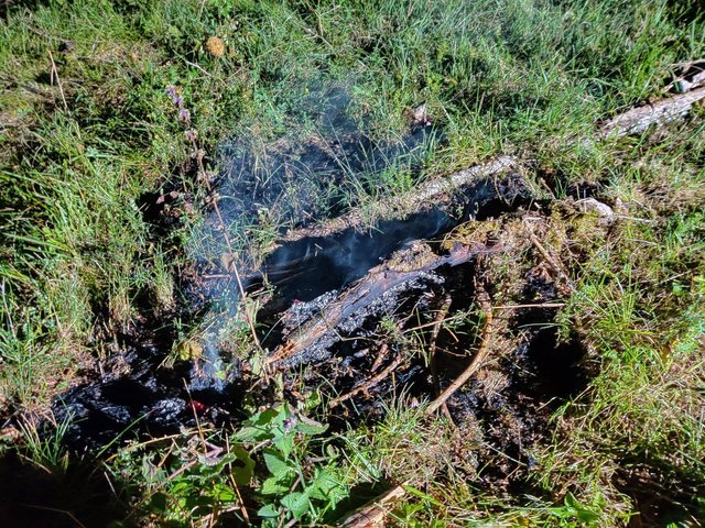 Foto: (7) FF Frankenfels