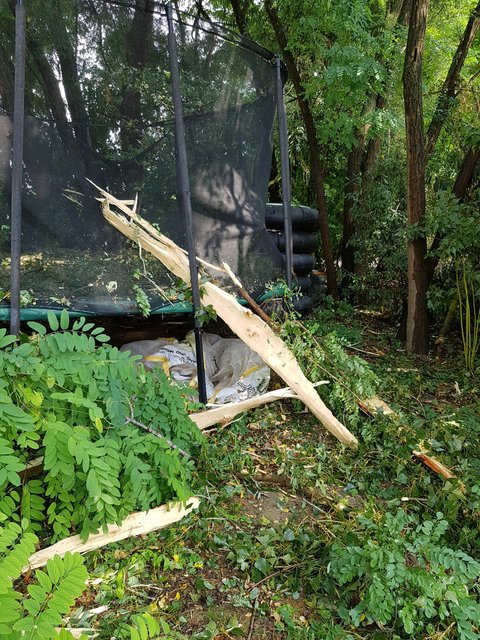 Foto: Freiwillige Feuerwehr Grafenwörth