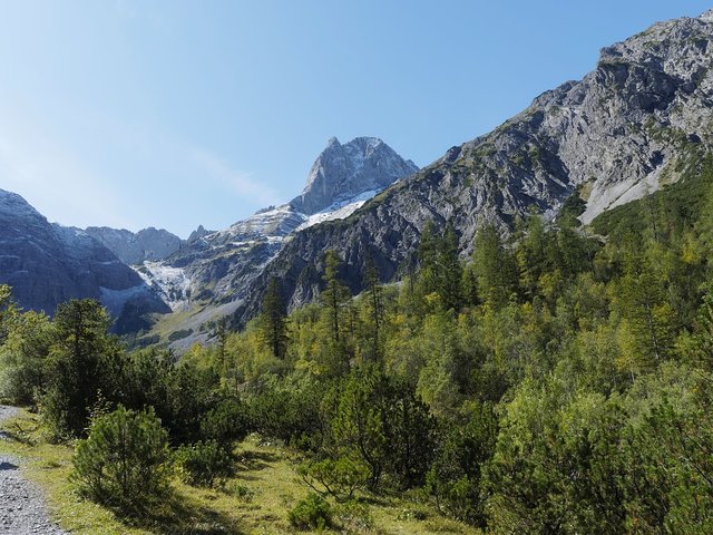 In den Augen Hörls ist mit der momentanen Ausweisung von Natura-2000-Schutzgebieten eine gute Balance zwischen Umweltschutz und Standortchancen geschaffen.  | Foto: Pixabay/mbc-2016 (Symbolbild)