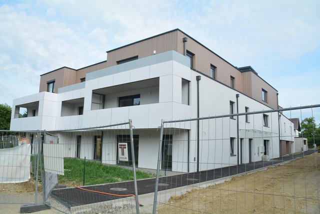 Single wohnung melk