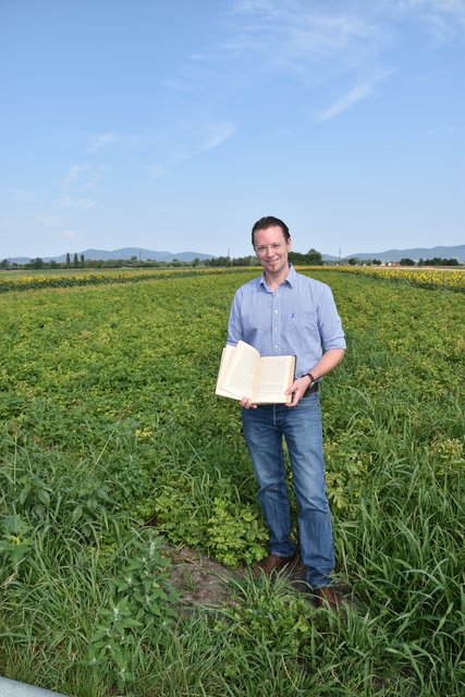 Museumsleiter Roland Detlinger vor einem Kartoffelfeld in Oberwaltersdorf: "Ursprünglich Zierfrucht." | Foto: E. Schmidbauer