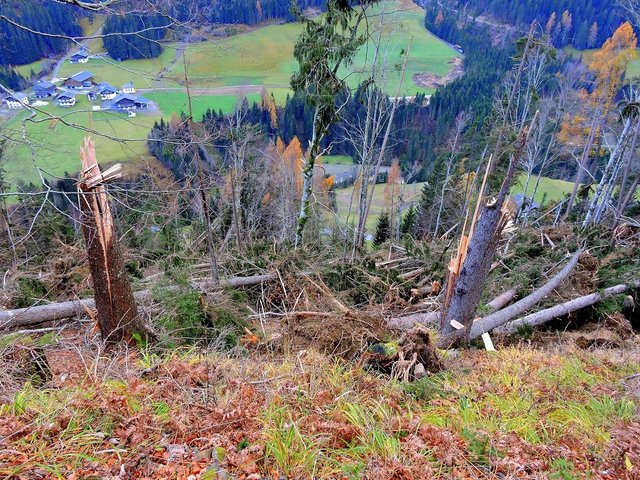 Sturmtief "Vaia" sorgte vergangenen Herbst für Zerstörung im Gailtal