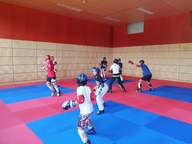 Die junge Sportler bereiten sich seit Wochen auf die Europameisterschaft im Kickboxen in Györ vor. | Foto: KBC Rohrbach