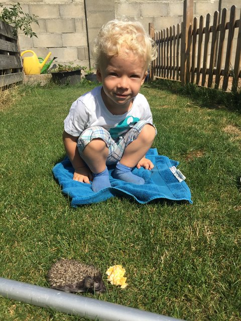 Stolzer Lebensretter: Florian (2,5) mit "seinem Igel". | Foto: © Privat