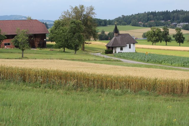 Vom Geispiel/höchster Platz in Vöcklabruck (550m) aus gesehen. 
 