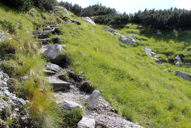 Auf dem Weg zum Hochleckenkogel...Ich genieße die "FREIHEIT am Berg" ...