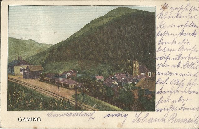 Eine Ansichtskarte aus Gaming aus dem Jahr 1905 des Sammlers Gerhard Wieland aus Scheibbs. | Foto: Gerhard Wieland