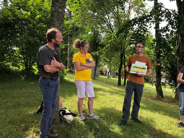 Josef Voglsperger, Tierarzt und Obmann des Vereins lebensraum:natur, Petra Haslgruber vom Bienenzentrum Oberösterreich sowie Peter Meindl vom Forschungsinstitut für biologischen Landbau. | Foto: BRS/ Wiesbauer