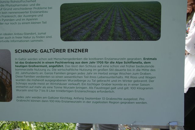Foto: Othmar Kolp