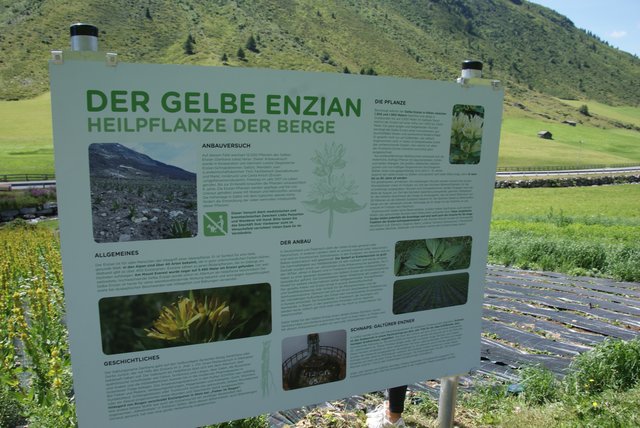 Foto: Othmar Kolp