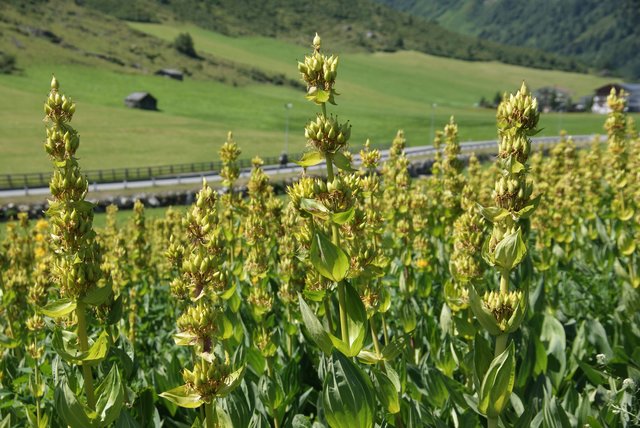 Foto: Othmar Kolp
