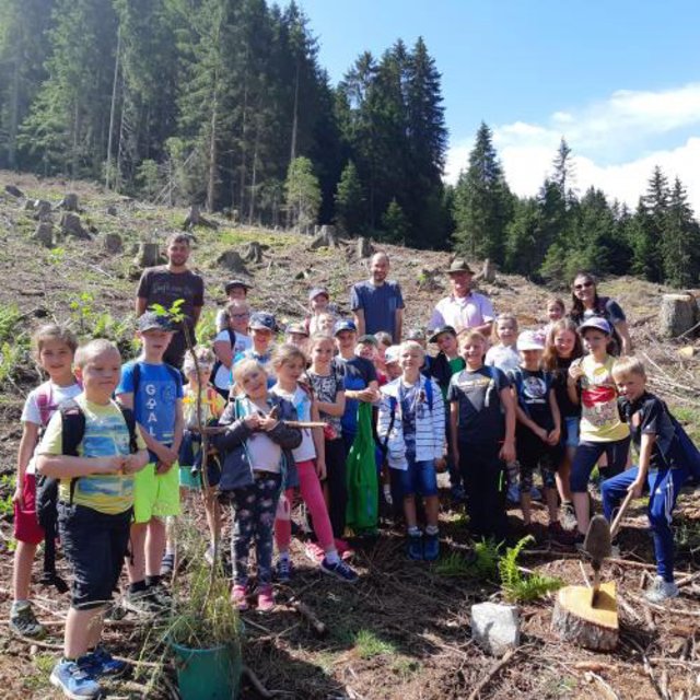 Viele große und kleine HelferInnen waren unterwegs, um das Bergwaldprojekt in Gries im Sellrain umzusetzen. | Foto: privat
