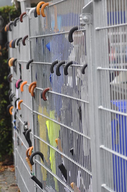 Regen am Mittwoch (zeitweise). | Foto: Kogler