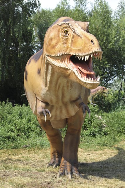 Wie Sahen Dinosaurier Wirklich Aus