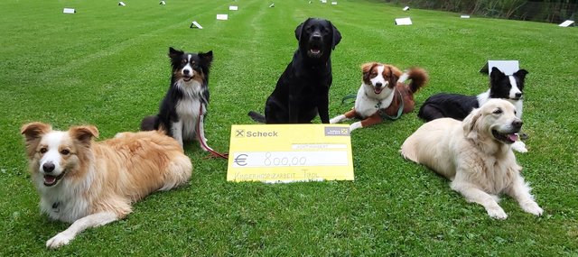 800 Euro wurden an die Kinderhospizarbeit gespendet. | Foto: ÖGV