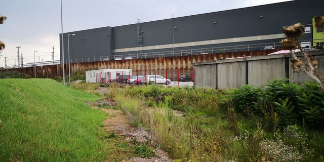Ein ausgetrockneter Laichtümpel im Linzer Industriegebiet, der von Wechselkröten bewohnt wurde. | Foto: BRS/Köck