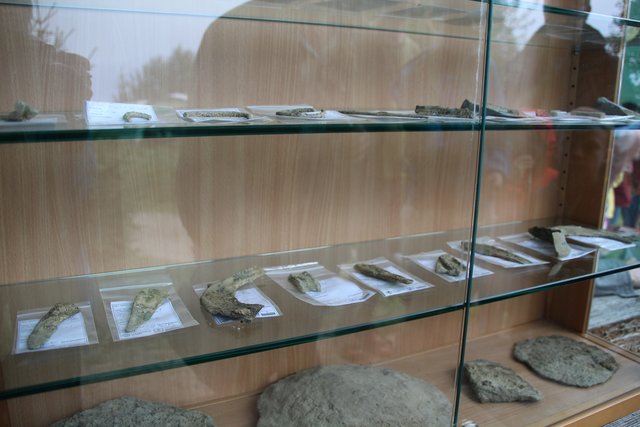 In zwei Schaukästen wurden ein Teil der Fundstücke aus der Bronzezeit zur Schau gestellt. | Foto: Theresa Haidinger
