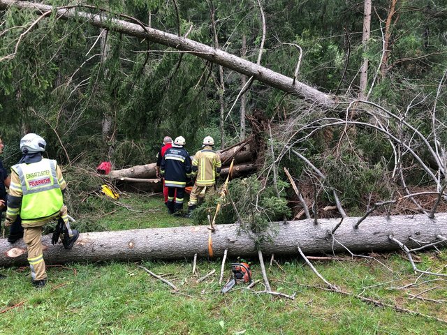Bei Aufräumarbeiten unterhalb der Engadinerstraße wurde ein ca. 40-jähriger Mann unter einem Baum begraben und unbestimmten Grades verletzt.