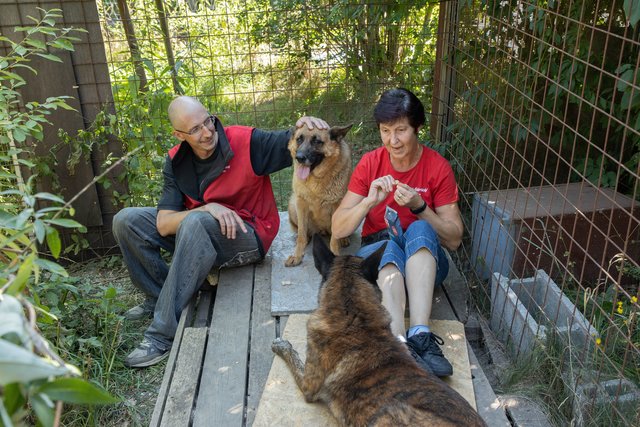 Gisela Murth kümmerte sich bis zur Abholung um die Tiere.