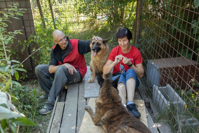 Gisela Murth kümmerte sich bis zur Abholung um die Tiere. | Foto: privat