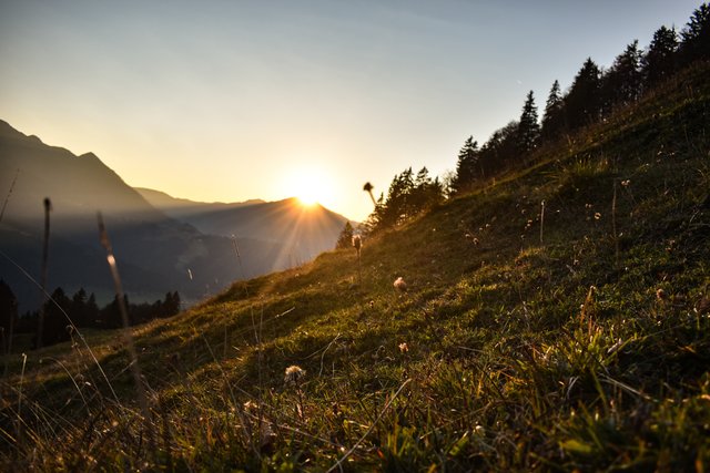 Foto: Sina Bodingbauer