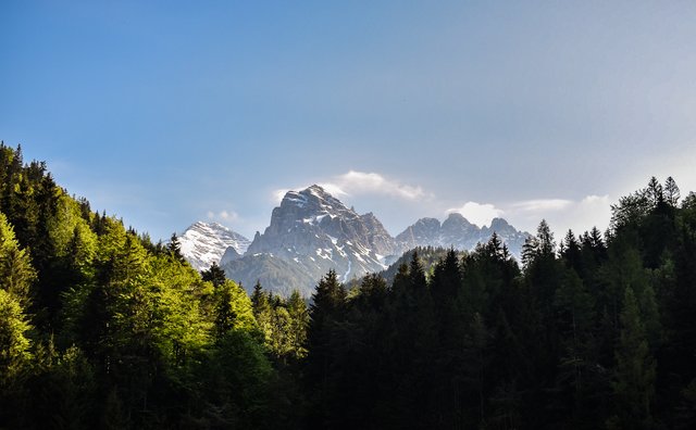 Foto: Sina Bodingbauer