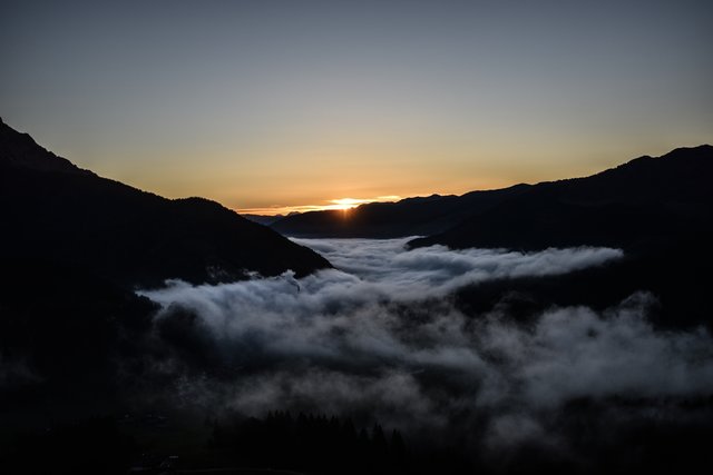 Foto: Sina Bodingbauer