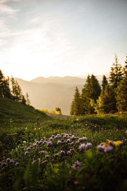 Foto: Sina Bodingbauer