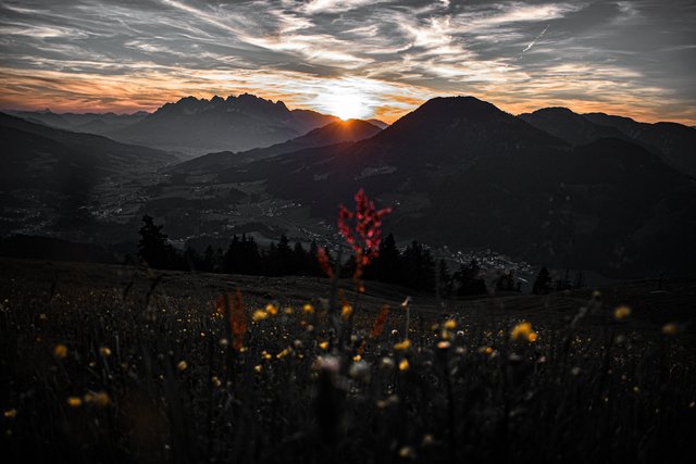 Foto: Sina Bodingbauer