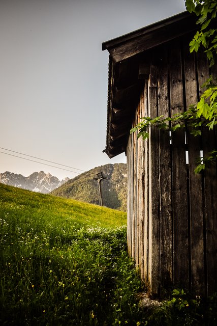 Foto: Sina Bodingbauer