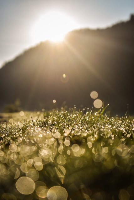 Foto: Sina Bodingbauer