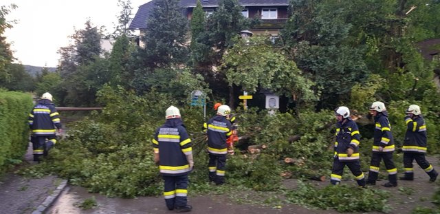 Das gestrige Bild im Bezirk: umgestürzte Bäume überall | Foto: BFKDO Klagenfurt Land