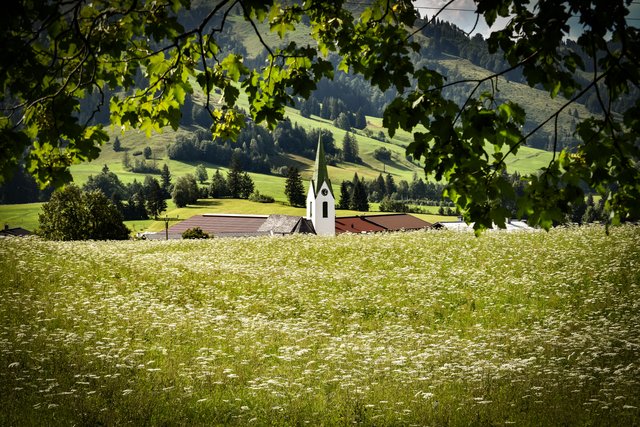 Foto: Sina Bodingbauer