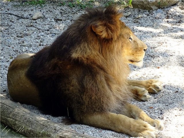 Foto: ©Uschi R.
