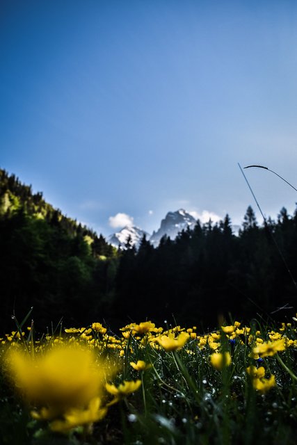 Foto: Sina Bodingbauer