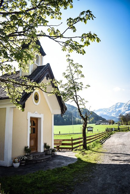 Foto: Sina Bodingbauer