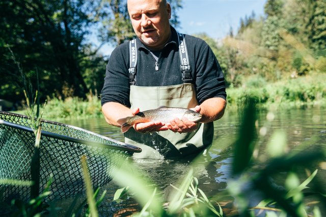 Daniel Braunsteiner ist Fischbauer aus Leidenschaft. | Foto: Die Fischbauern