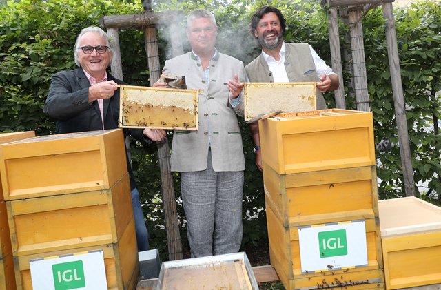 Hans Harrer (Senat der Wirtschaft) und den beiden IGL-Geschäftsführern Eberhard Weinzierl und Andreas Santner bei den Bienen.