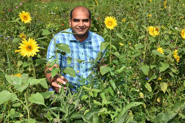 Regionaut Bilal Usmann dokumentierte die Blumenwiesen des Imkervereins Pabneukirchen.