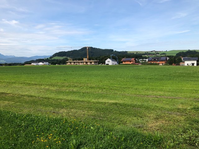 Auf dieser Wiese des Biobauern Markus Kreuzberger soll die Deponie entstehen. | Foto: Kleemayr