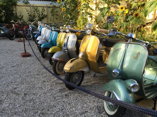 Italienischer Fahrspaß garantiert - Vespa der mediterrane Klassiker. | Foto: Willi Beutelmayr