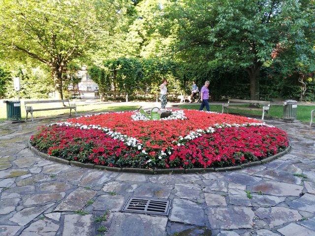 Besonderes Highlight: Die Blumen im Fröbelpark