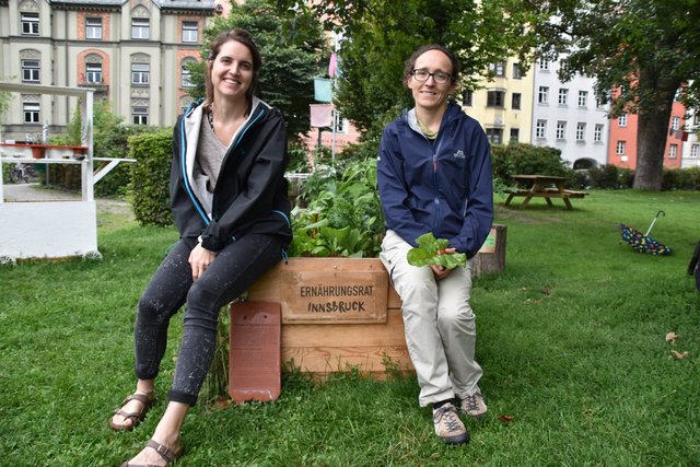 Essbare Pflanzen können im Waltherpark selbst gepflückt werden.