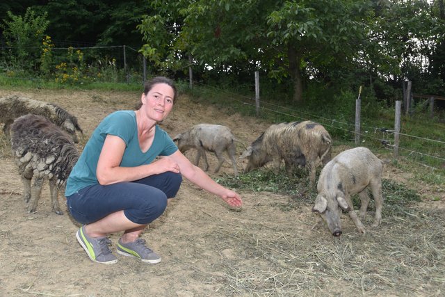 Foto: Martin Wurglits