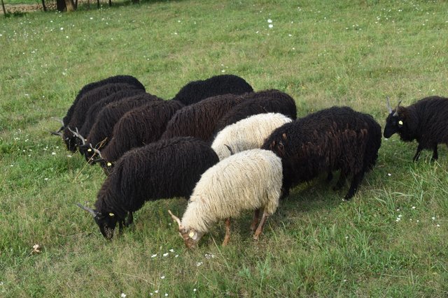 Foto: Martin Wurglits