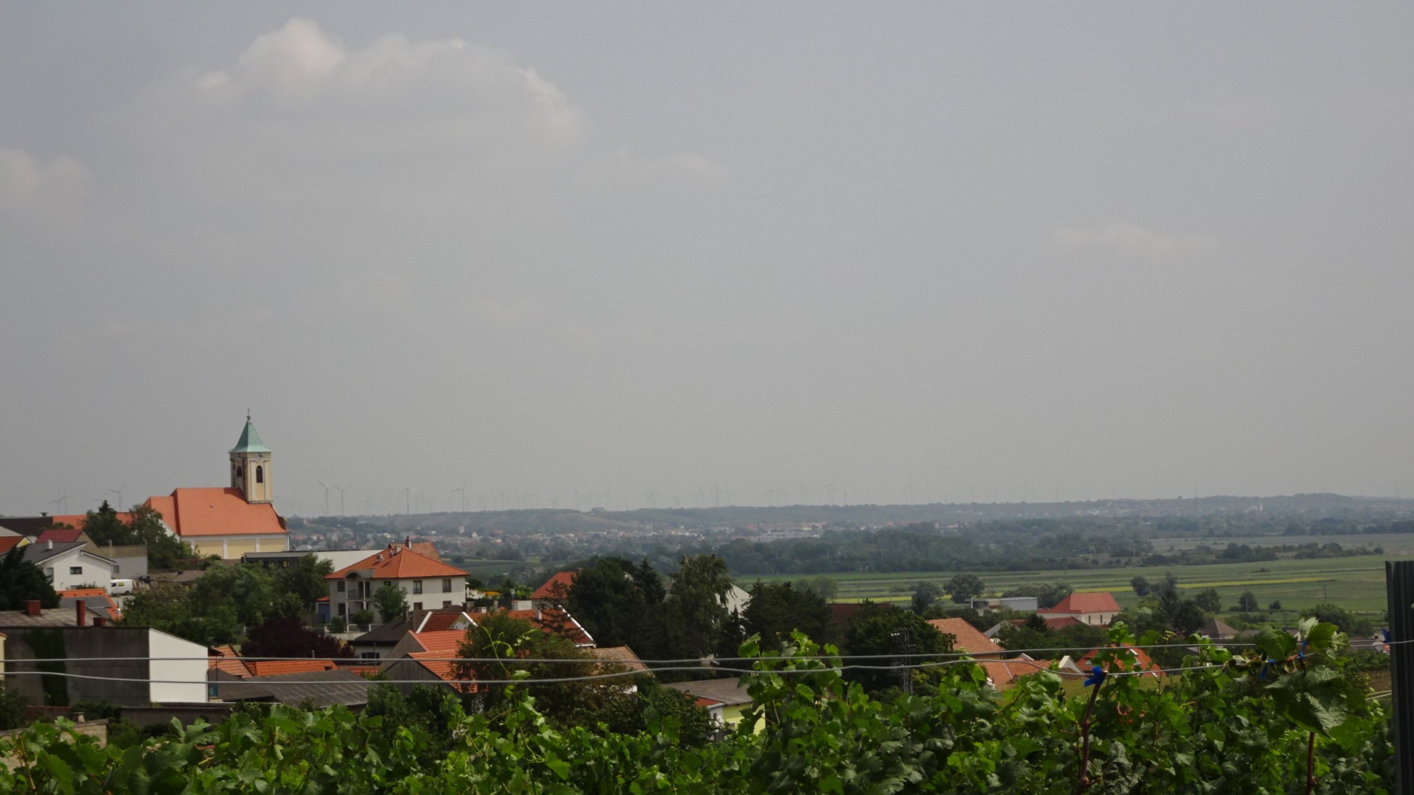 Kleinanzeigen sie sucht ihn in gssendorf. Alter frauen sexs kontakt mnchen. Mrbisch am see single flirt. Wo mnner kennenlernen in seitenstetten. Waidhofen an der ybbs sie sucht ihn kreis Sexkontakte im