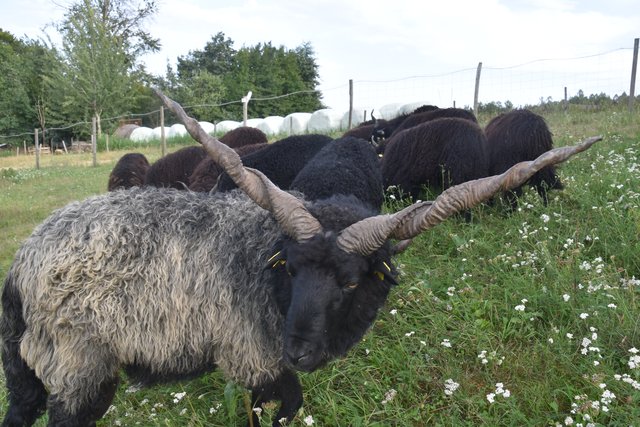 Foto: Martin Wurglits